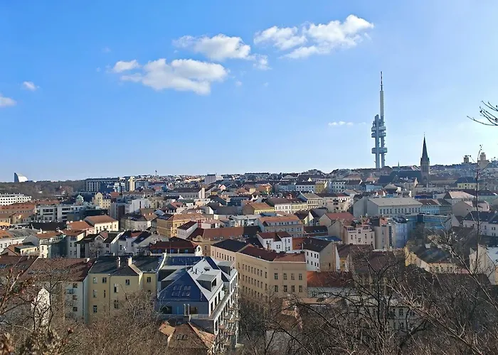 Flat In Zizkov -303-