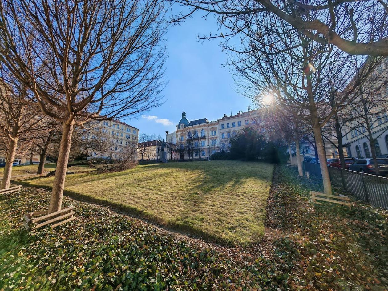 Apartmán Flat In Zizkov -303-
